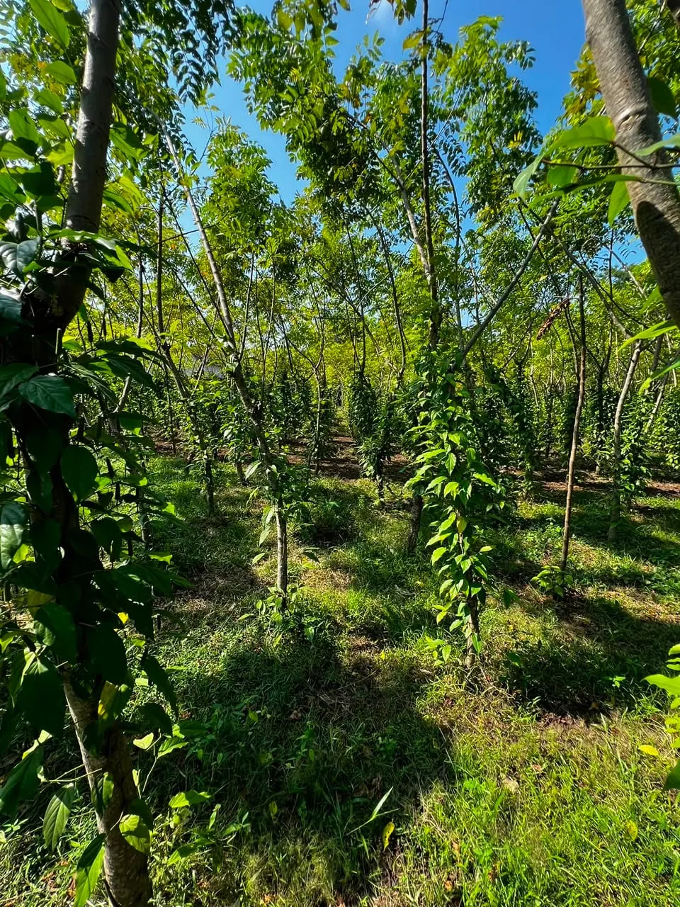 Partner farms