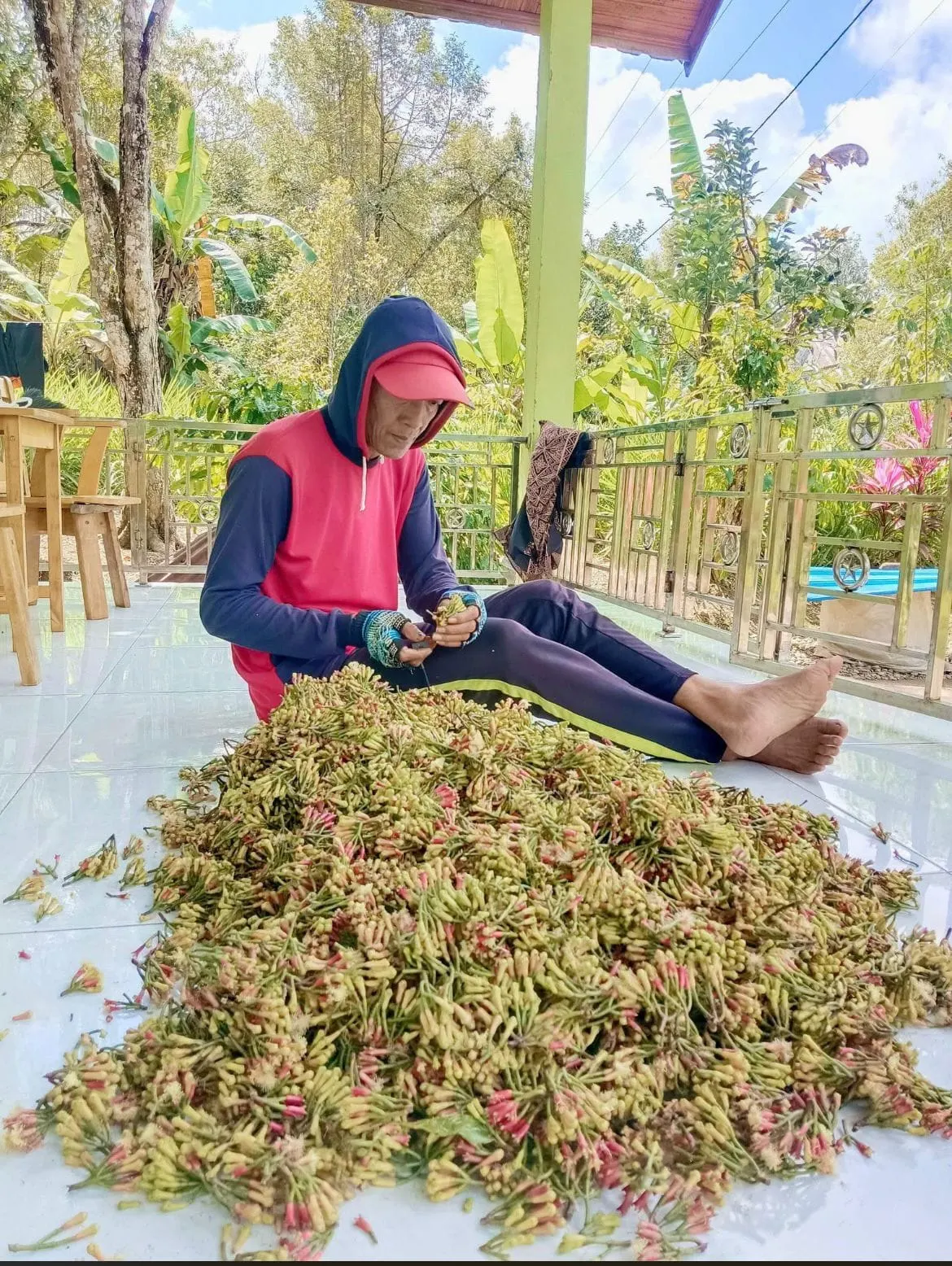 Hand sorting fresh cloves