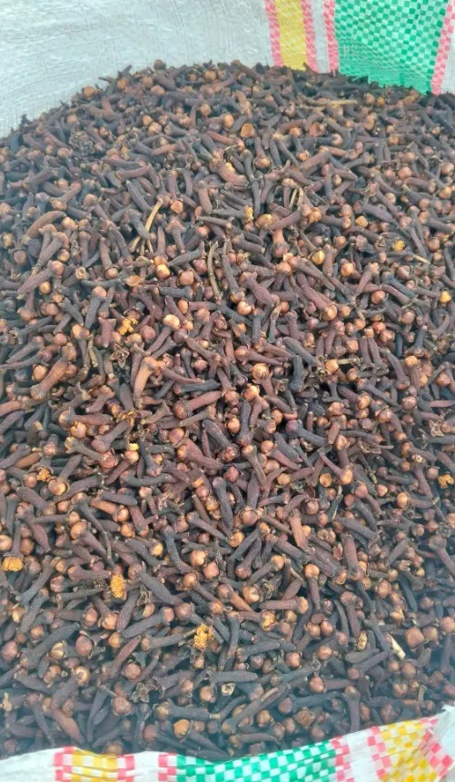 Clove (Cengkeh) from Indonesia