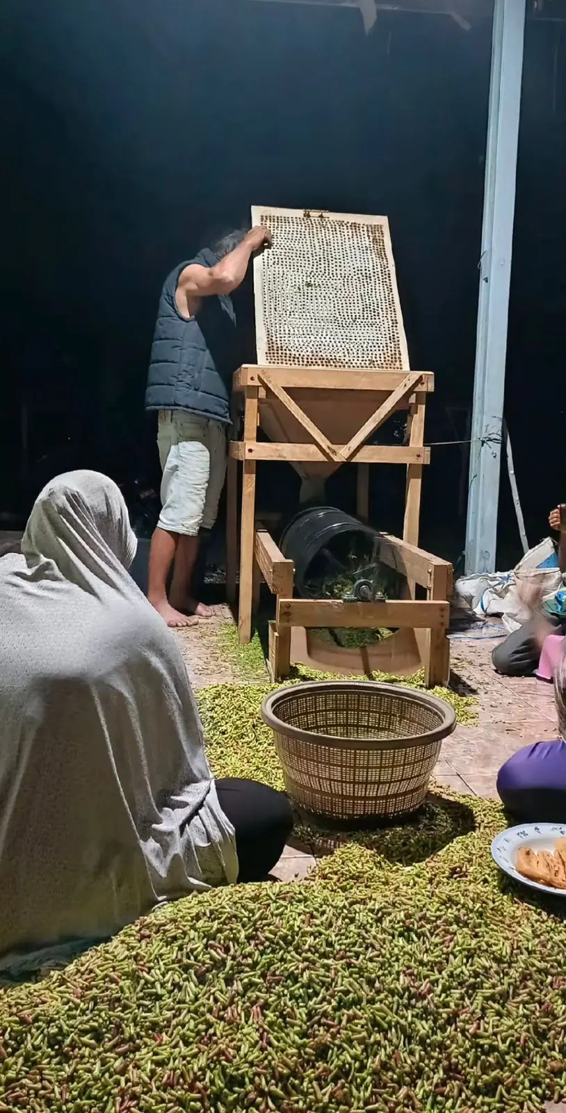 Clove sieving, Indonesia