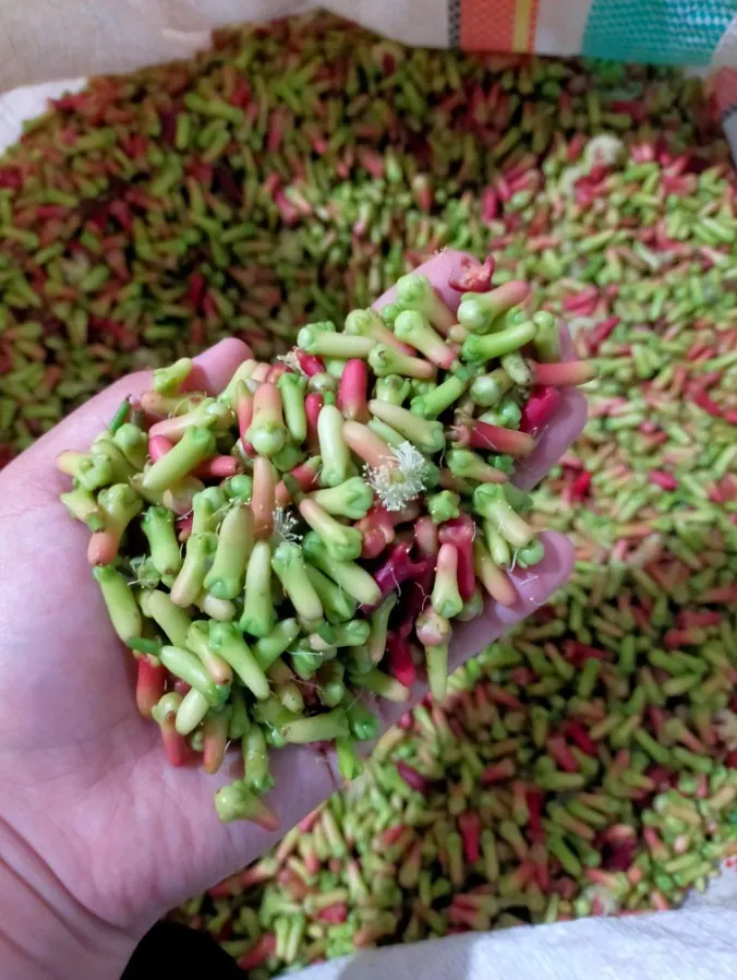 Hand sorting