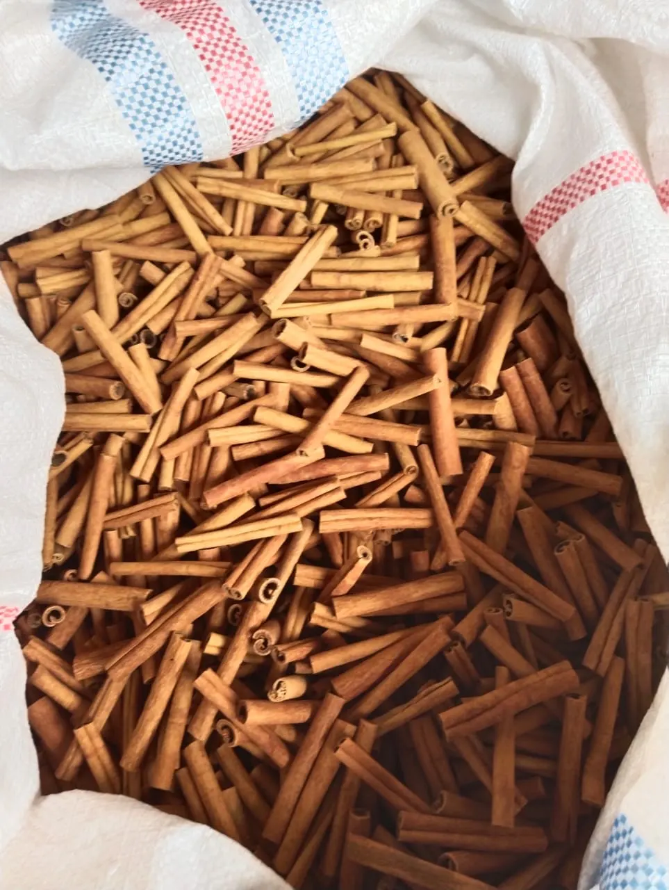 Indonesian Cinnamon (Kayu Manis) from Indonesia