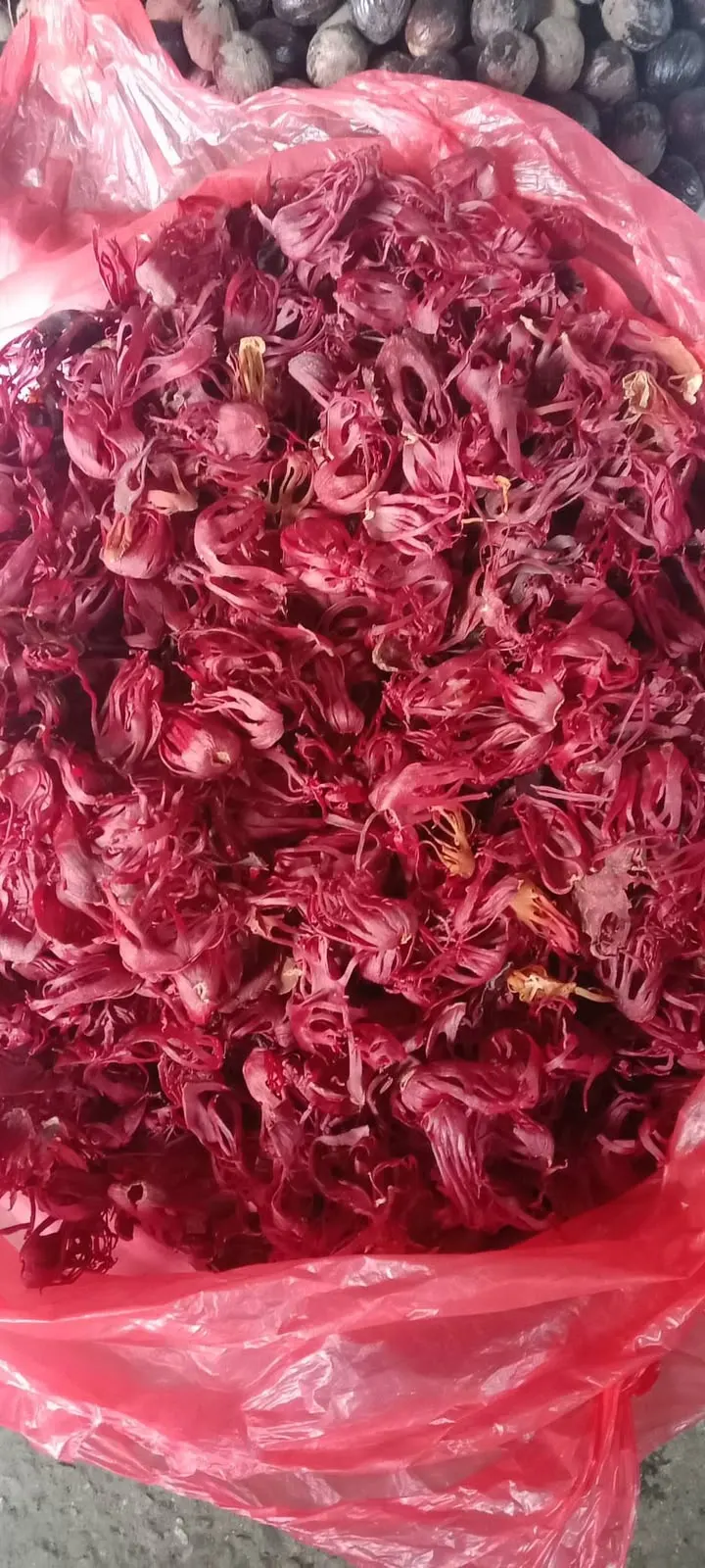 Mace (Bunga Pala) from Indonesia