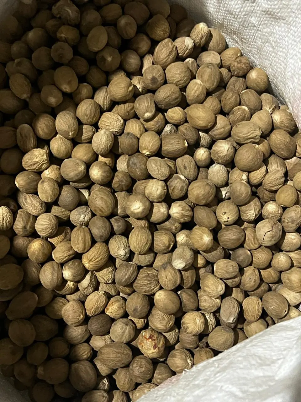 Nutmeg (Pala) from Indonesia