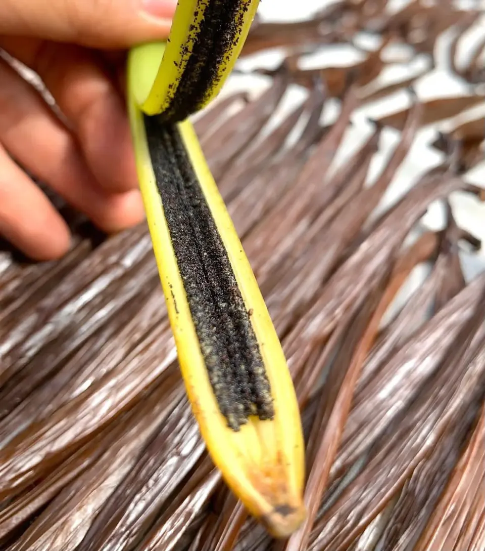 Vanilla split, Indonesia