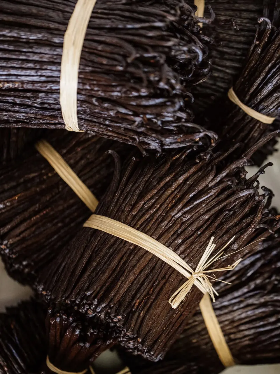 Vanilla Beans (Vanili) from Indonesia
